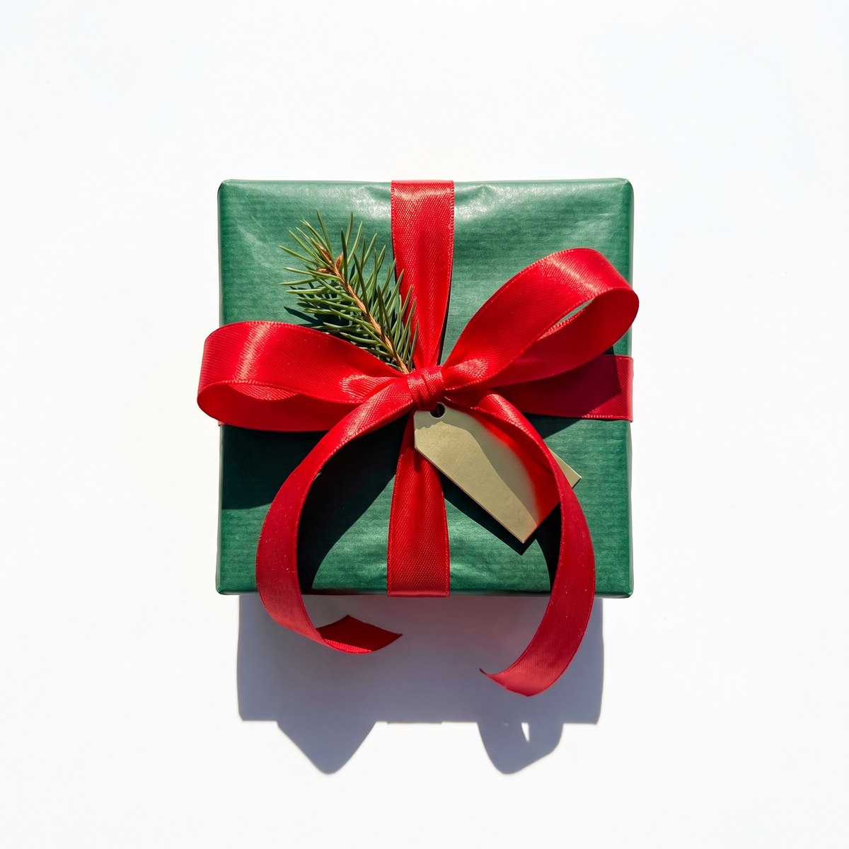 Surprise Gift